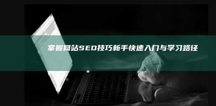 掌握网站SEO技巧：新手快速入门与学习路径